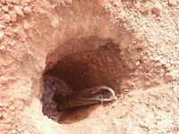 Burkina guy anchors