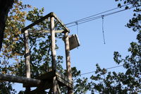 IMG 0270