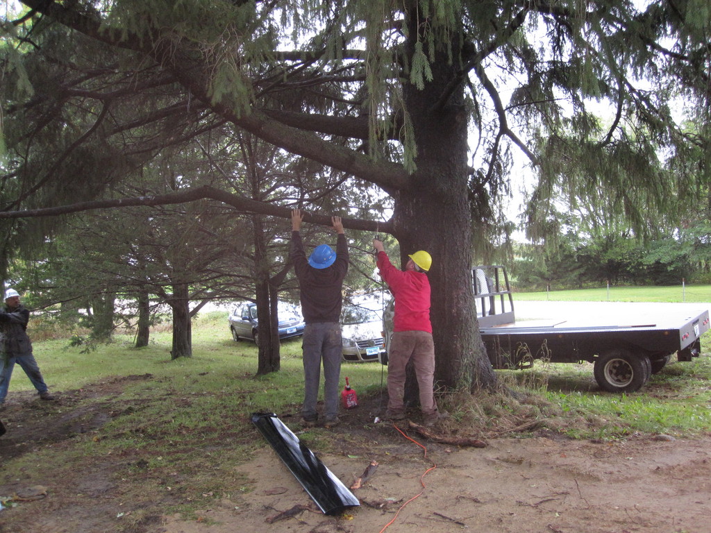 Sawz-All tree trimming.