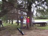 Sawz-All tree trimming.