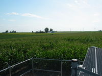 View towards the residence. This is from about 10' off the ground.