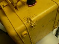 Highlight for Album: Squirrel Damage
