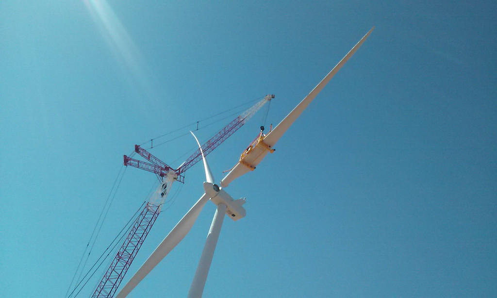 Crane