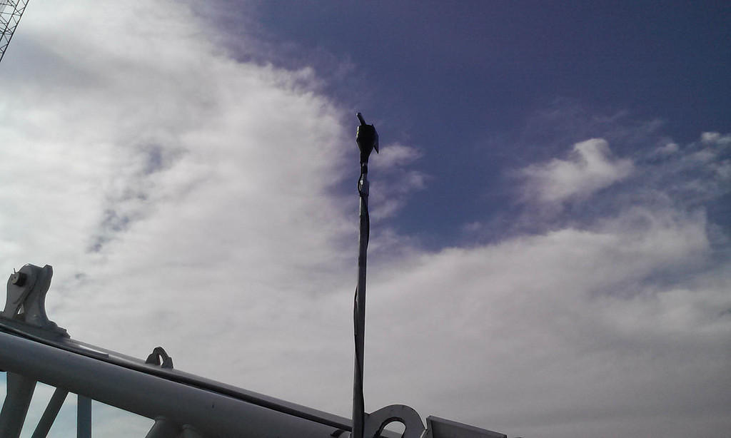 Pivoting wind vane