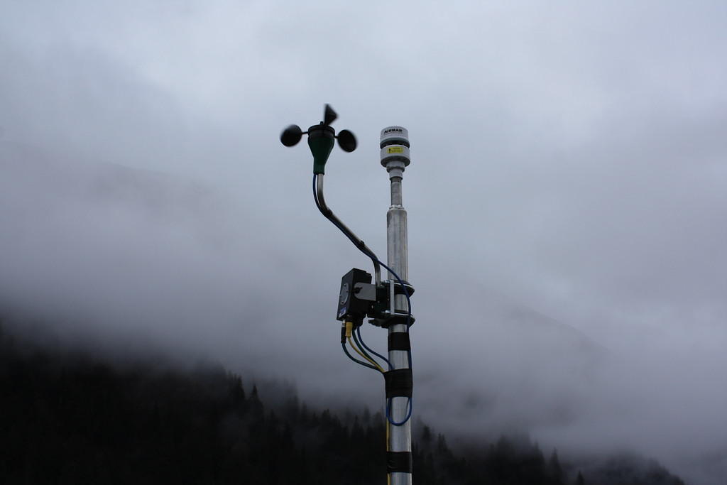 IMG 7685