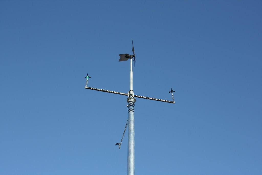 IMG 7352