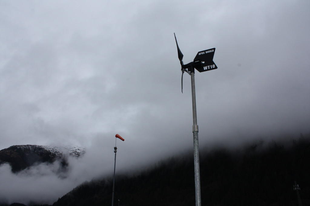 IMG 7683