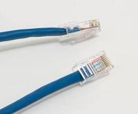 APRS5199: Patch Cord, CAT5e, 30.5 m (100 ft)