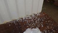 Rain and hail storm beat the building - it was loud inside!