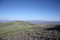 IMG 7181