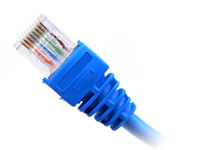 RJ-45 Ethernet cable end